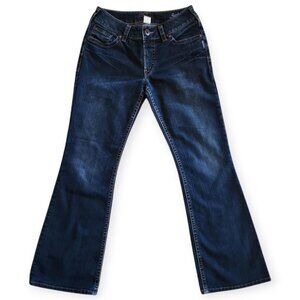 Silver Suki Y2k Lowrise Flared Jeans